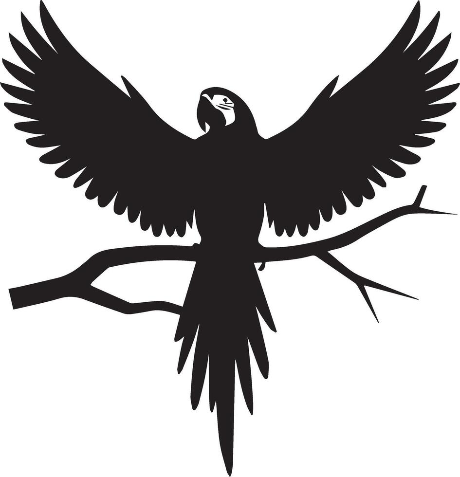 Parrot Bird silhouette black isolated vector
