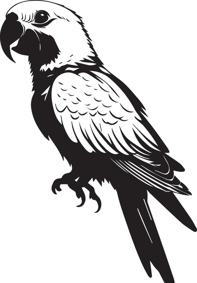 Parrot Bird black on white background vector