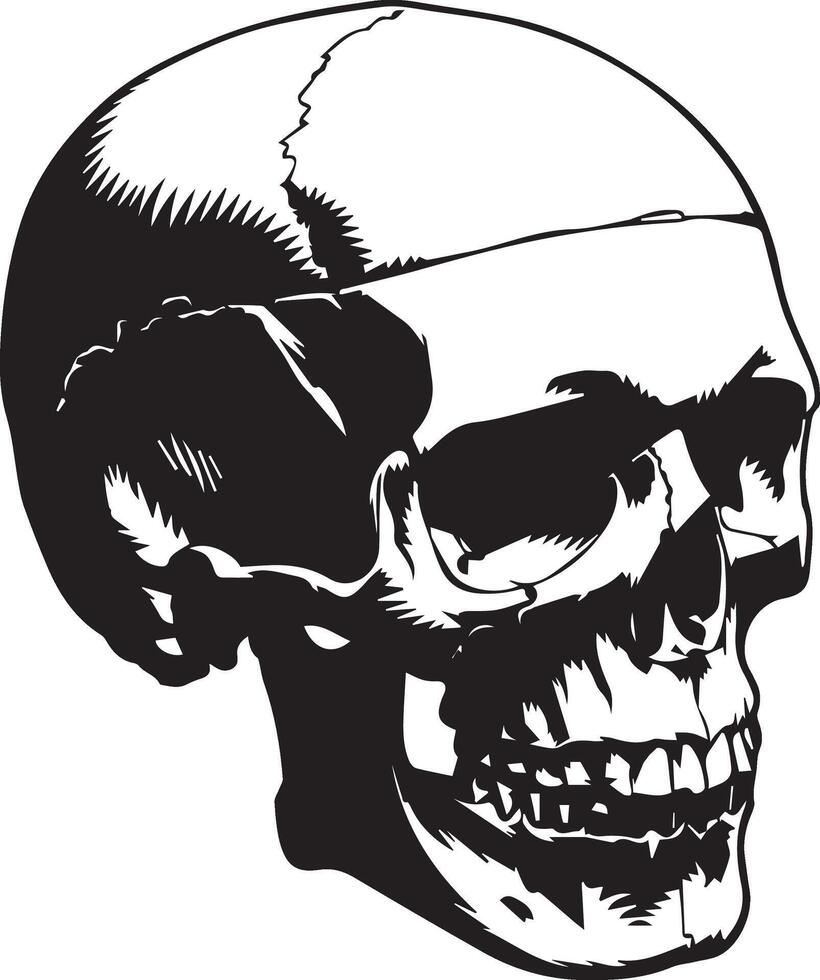 Human Skull Illustration silhouette black isolated on white background vector