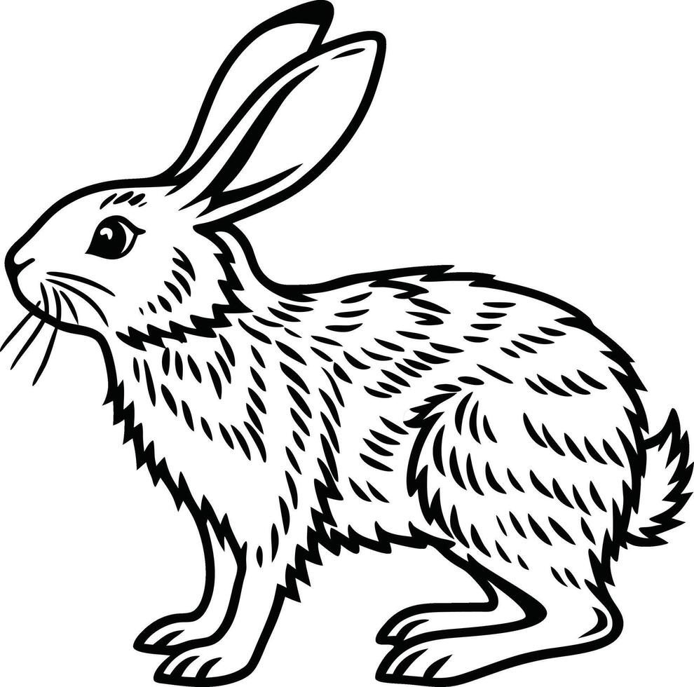 black and white rabbit bunny vector