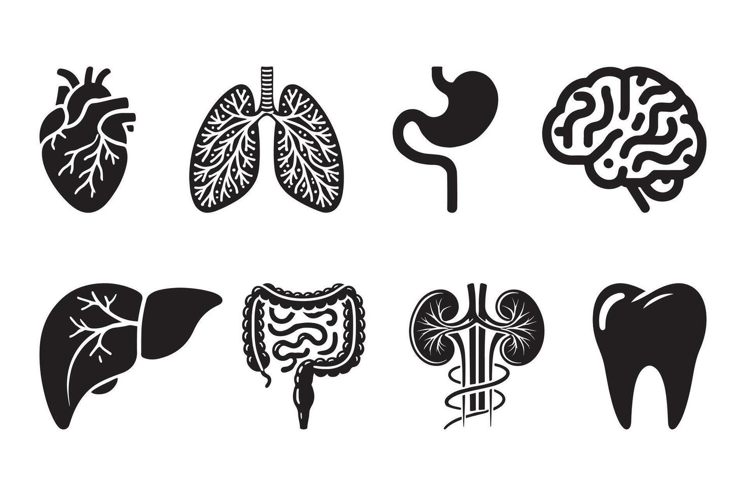 Black Silhouette of Internal Organs Medical Healthcare Icon Set vector