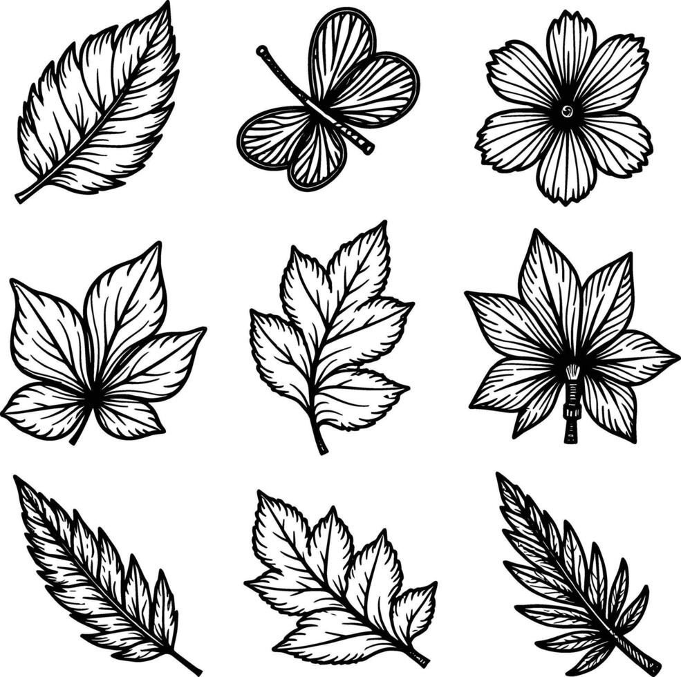 Black Leaf Silhouette Pack for Logos, Stickers, and Graphic Design vector