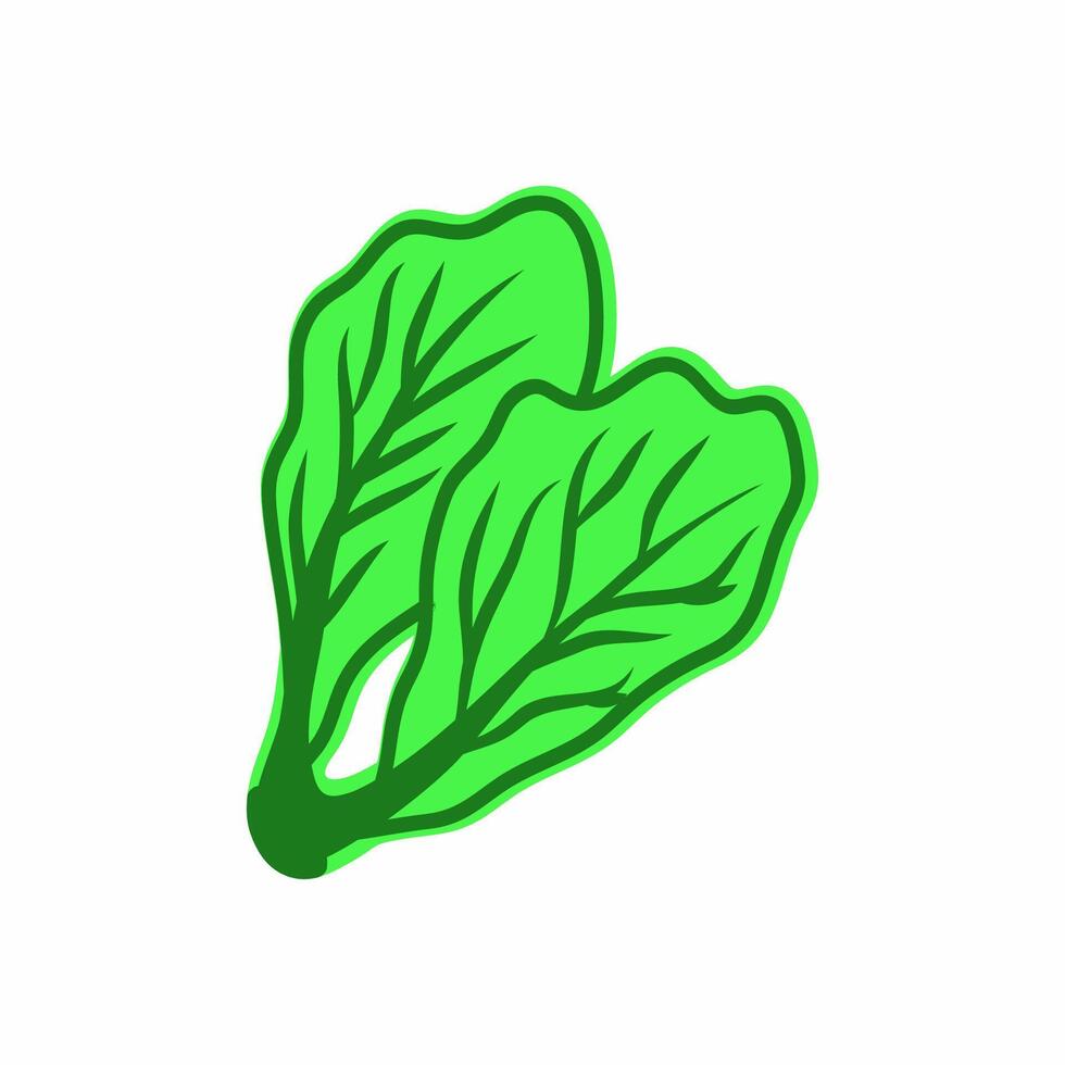 illustration of mustard greens vector