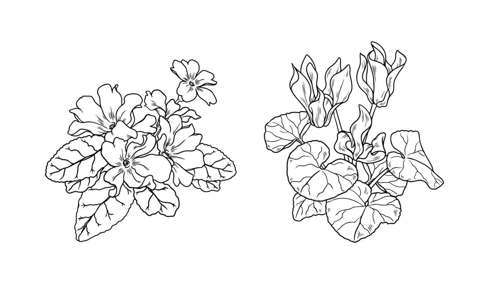 Hand Drawn Winter Flowers vector