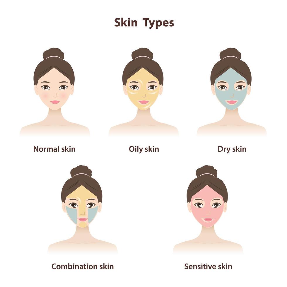 Different skin types set isolated on white background. The cute women with basic types of skin, normal, oily, dry, combination and sensitive skin. Skin care and beauty concept illustration. vector