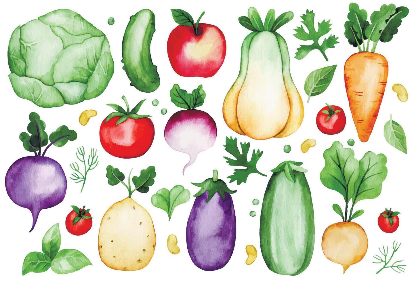set of farm vegetables. watercolor illustration in simple style. vector