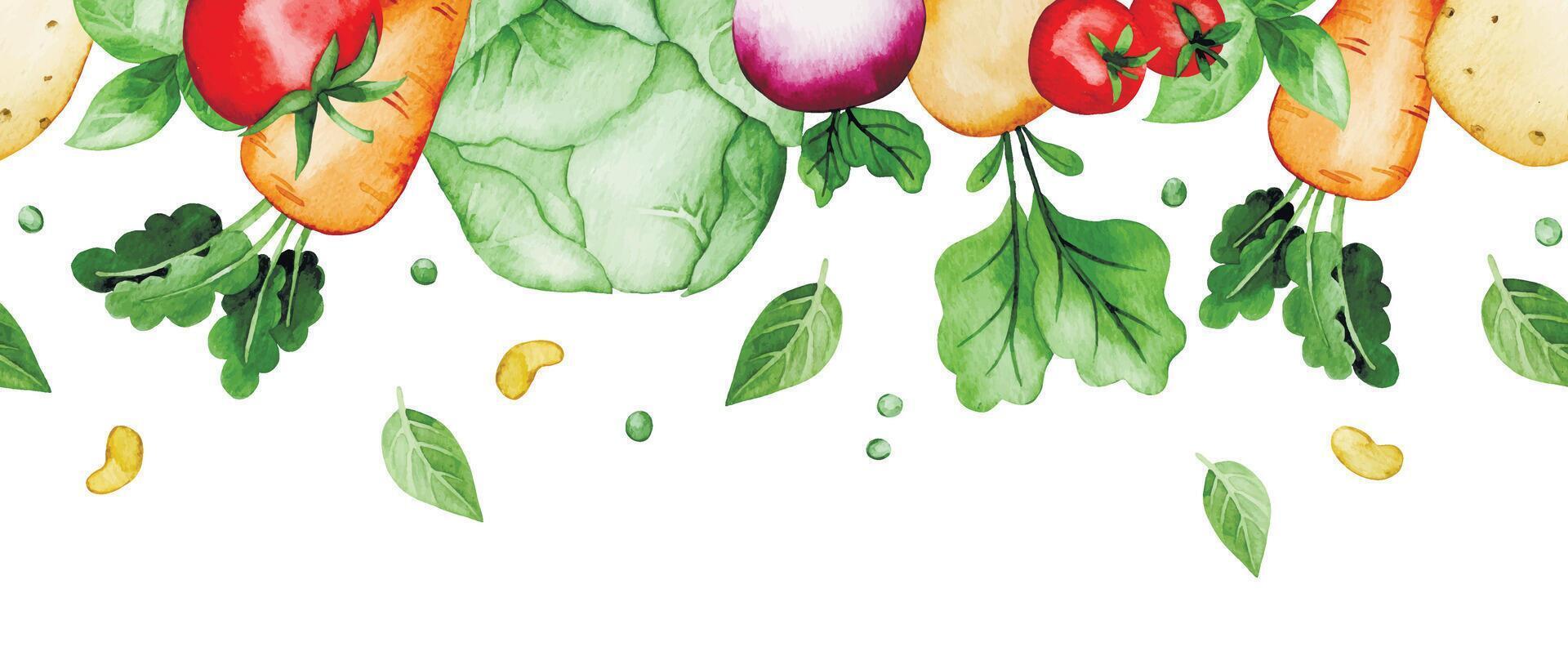 watercolor seamless border with farm vegetables. cute picture in simple style. vector