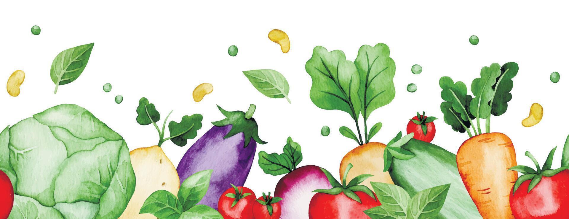 watercolor seamless border with farm vegetables. cute illustration in simple style. vector