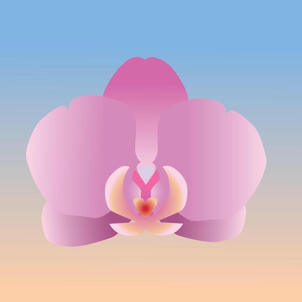 One single orchid flower. It is a pink flower head and the background is a blue and orange gradient vector