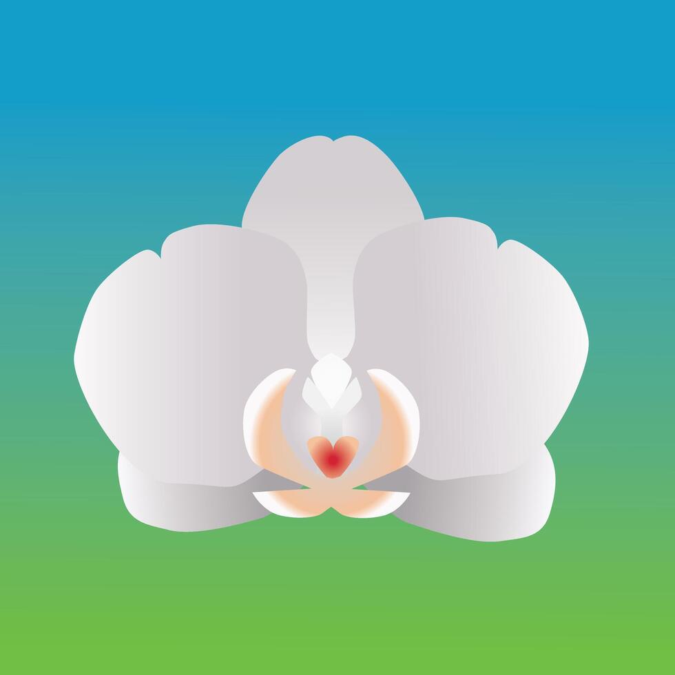 One single orchid flower. It is a white flower head and the background is a blue and green gradient vector