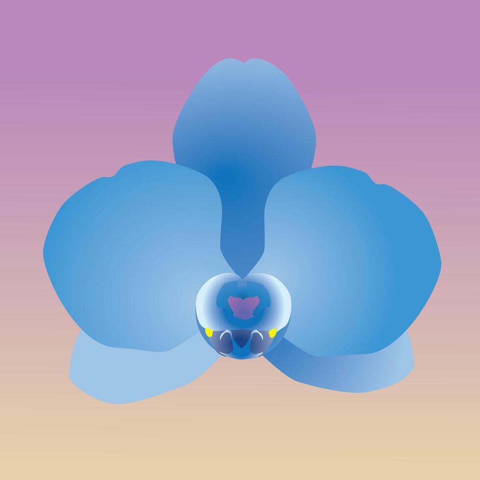 One single orchid flower. It is a blue flower head and the background is a pink and yellow gradient vector