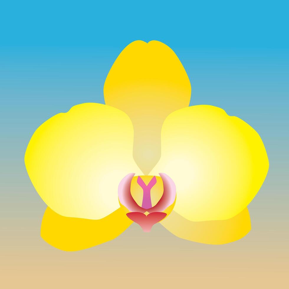 One single orchid flower. It is a yellow flower head and the background is a blue and ocher gradient vector