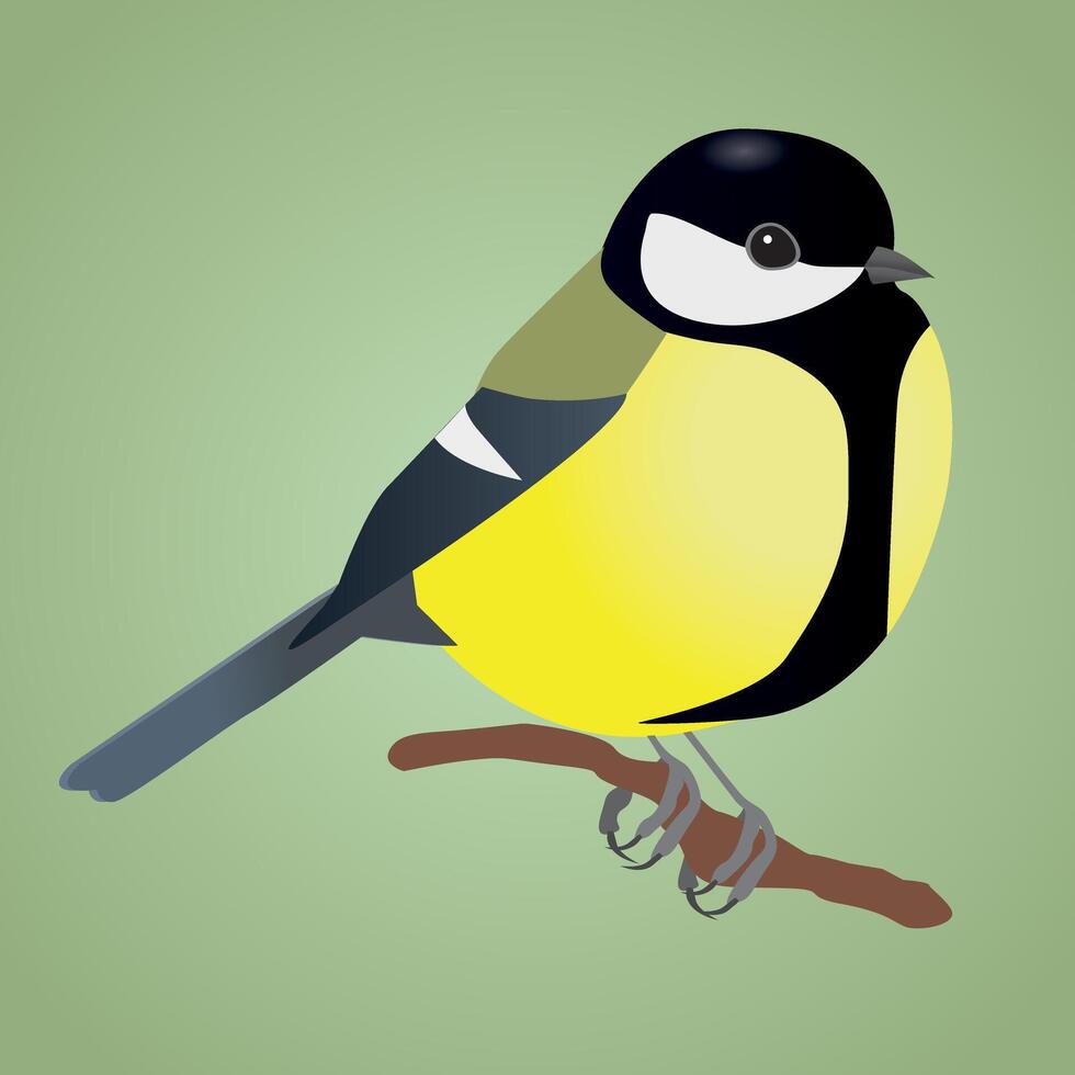 A great tit bird sitting on a branch vector