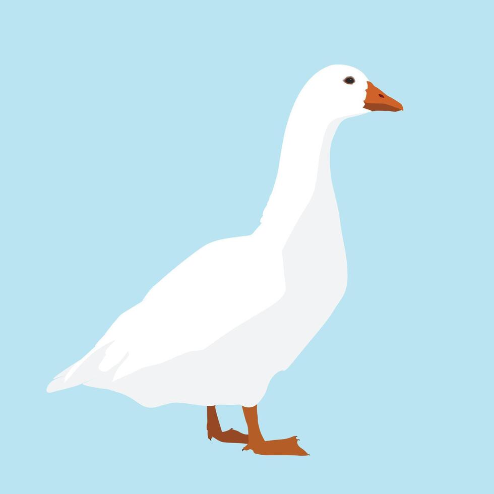 An illustration of a white goose on a blue background vector
