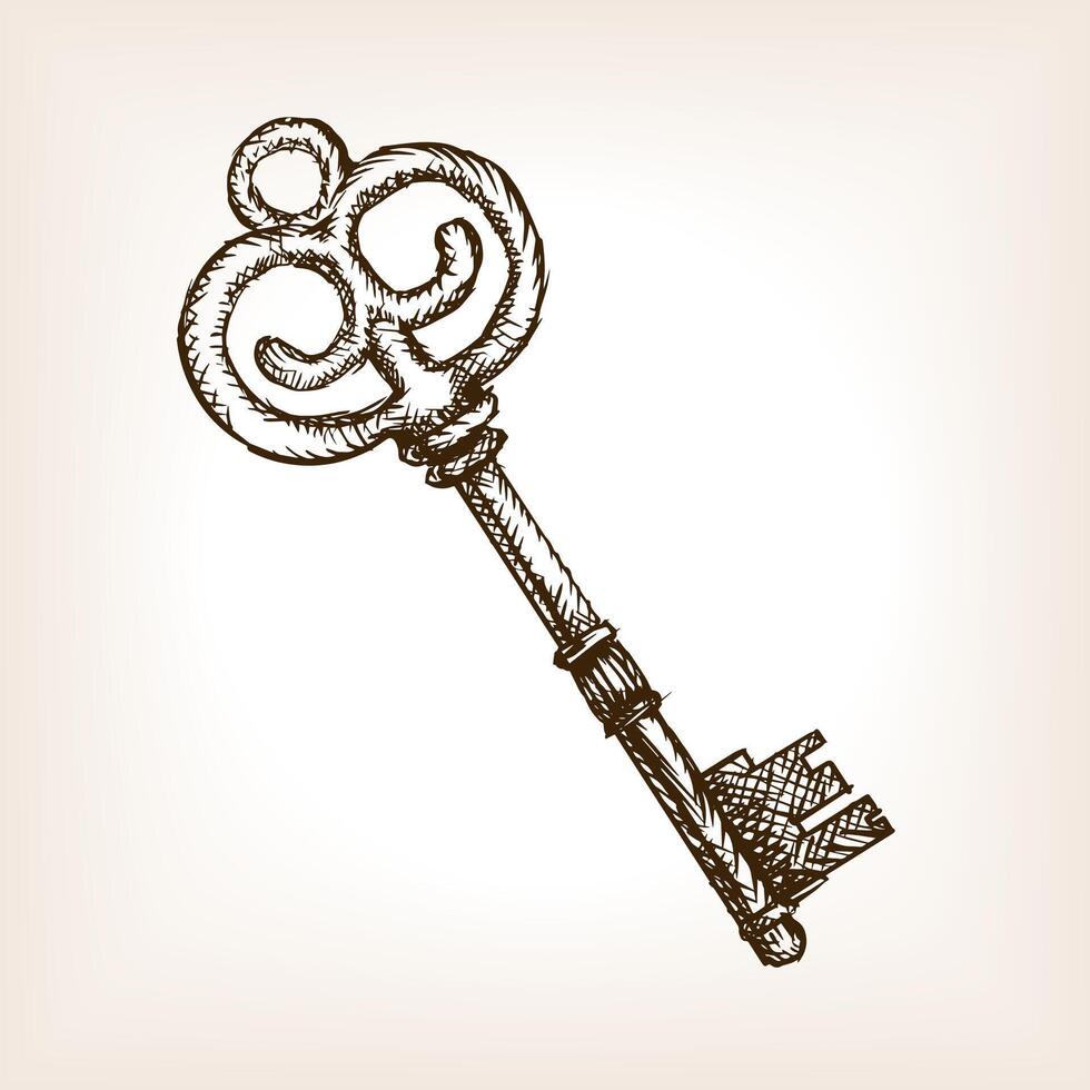Vintage key sketch style illustration. Old engraving imitation. Old key hand drawn sketch imitation. vector