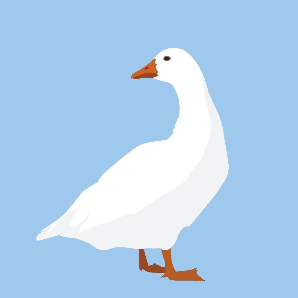 An illustration of a white goose on a blue background. He looks to its back vector
