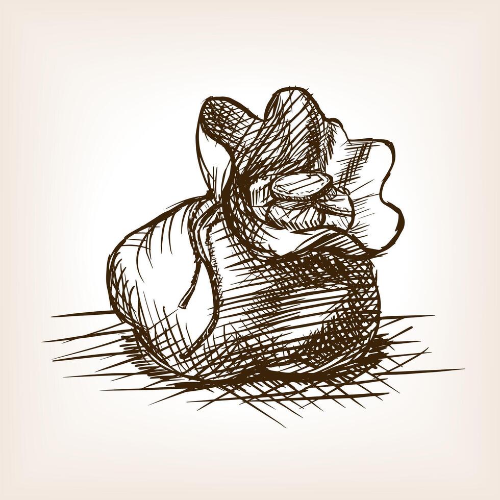 Bag with coins sketch style illustration. Old engraving imitation. Purse with coins hand drawn sketch imitation. vector