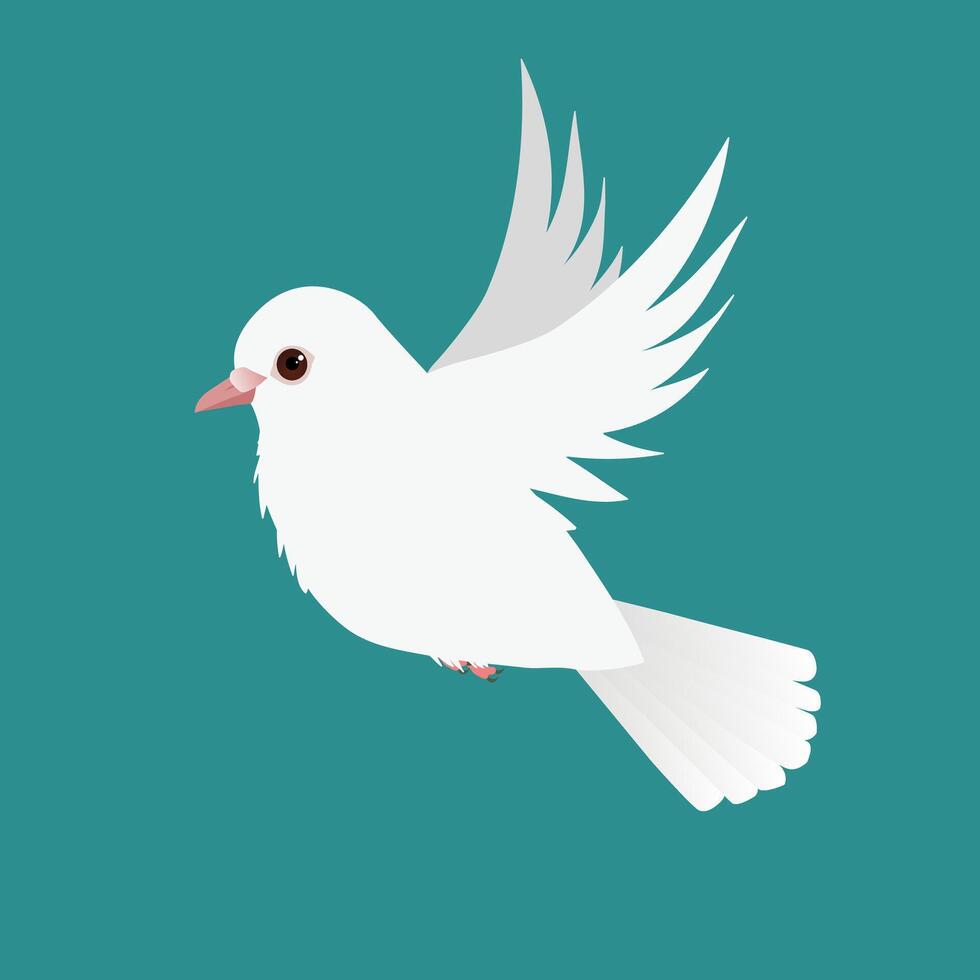 Flying white pigeon illustration on a green background vector
