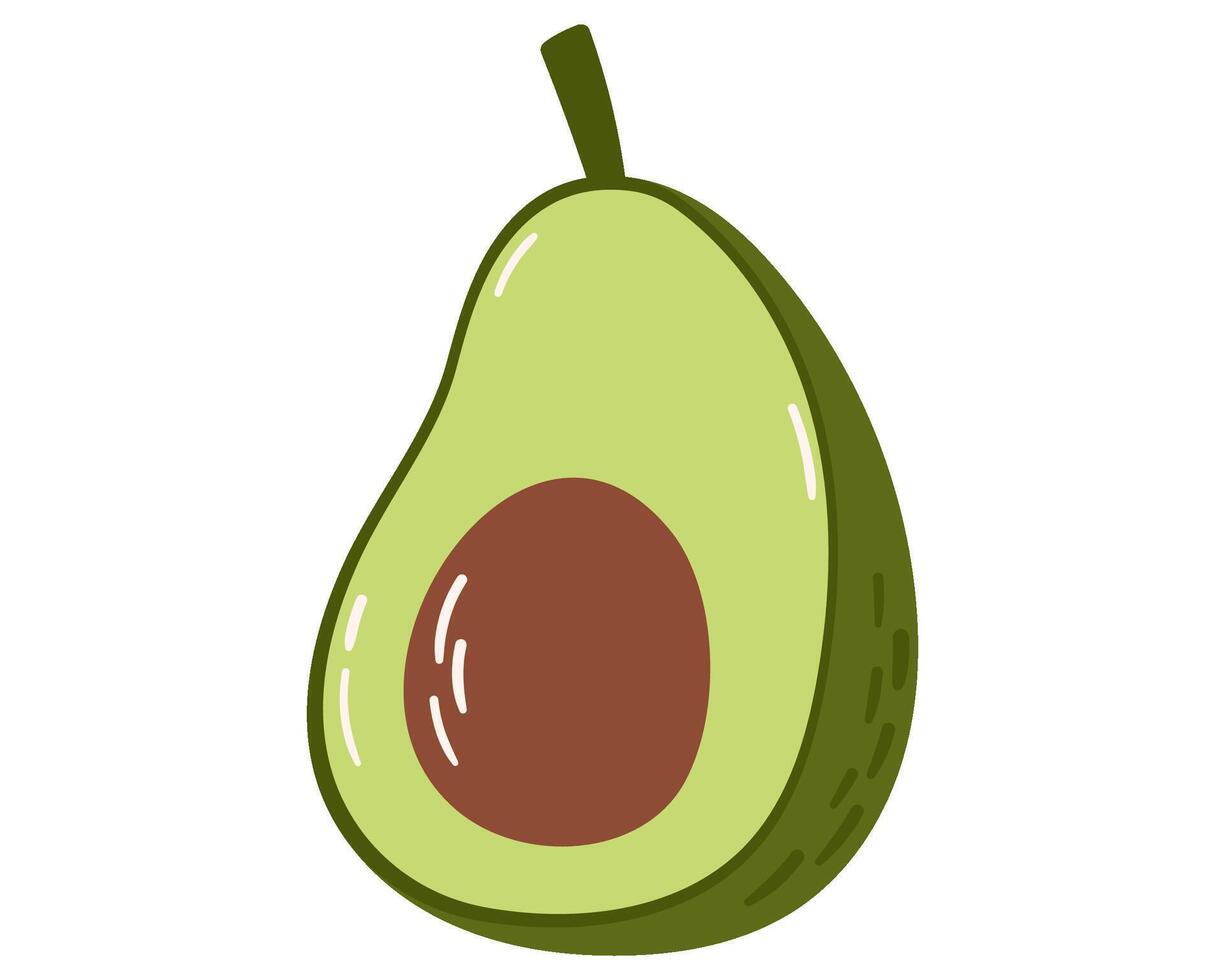 Fruit avocado in cartoon hand drawn simple style vector