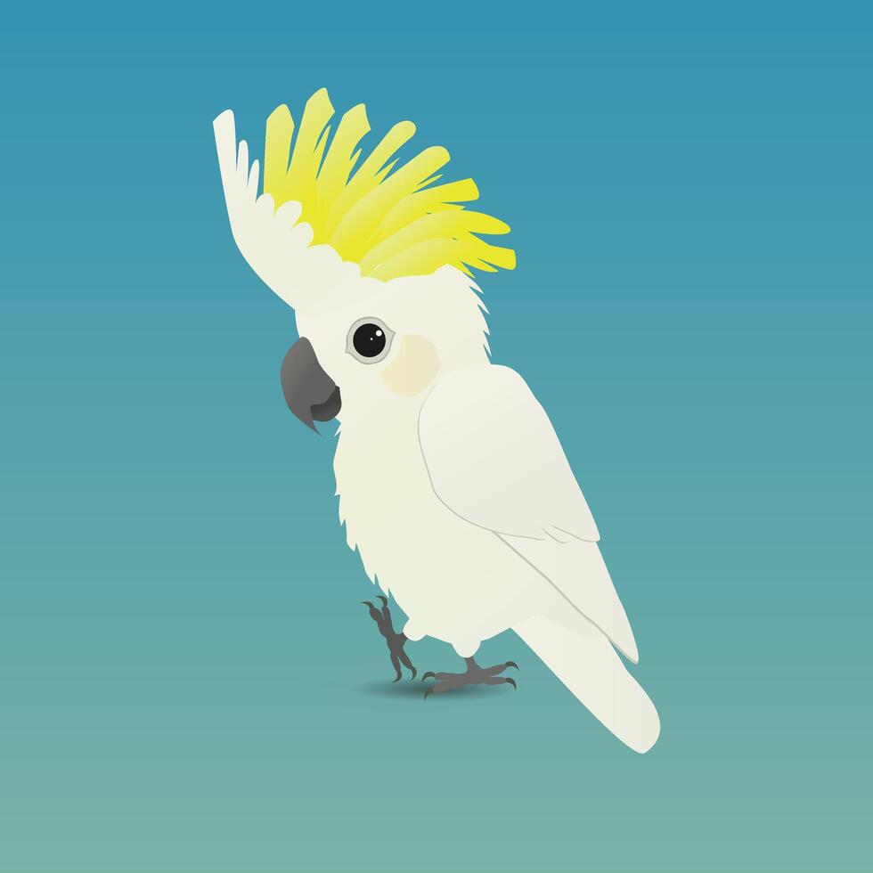 An illustration of a cute sulphur crested cockatoo vector