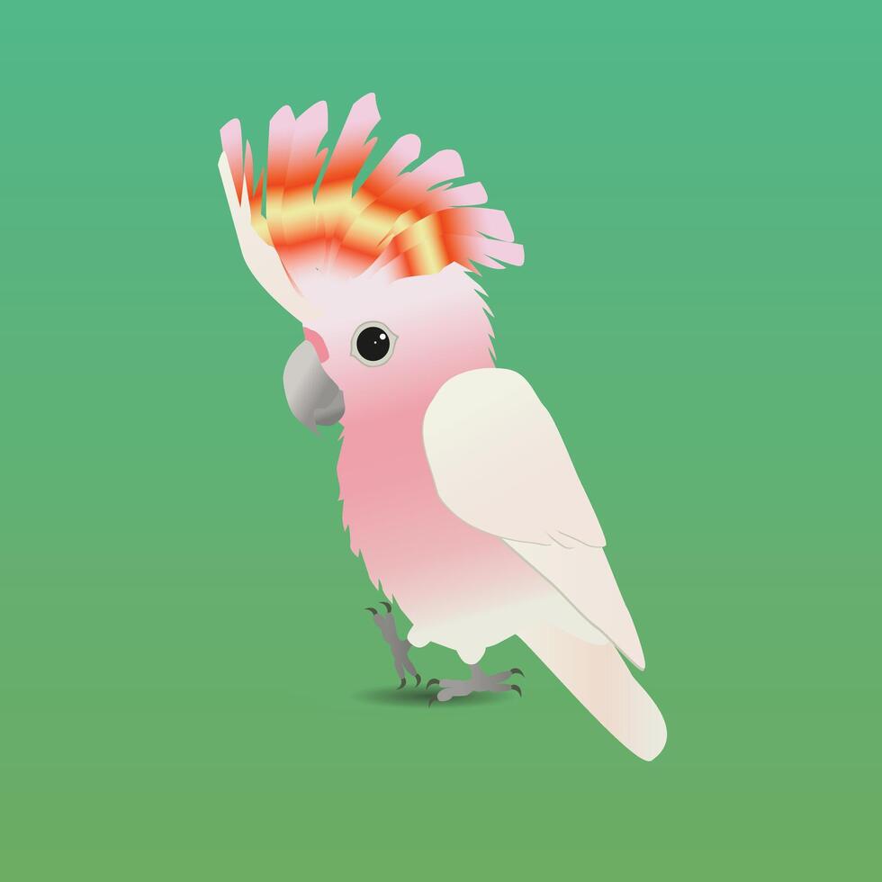An illustration of a cute Major Mitchell's cockatoo vector