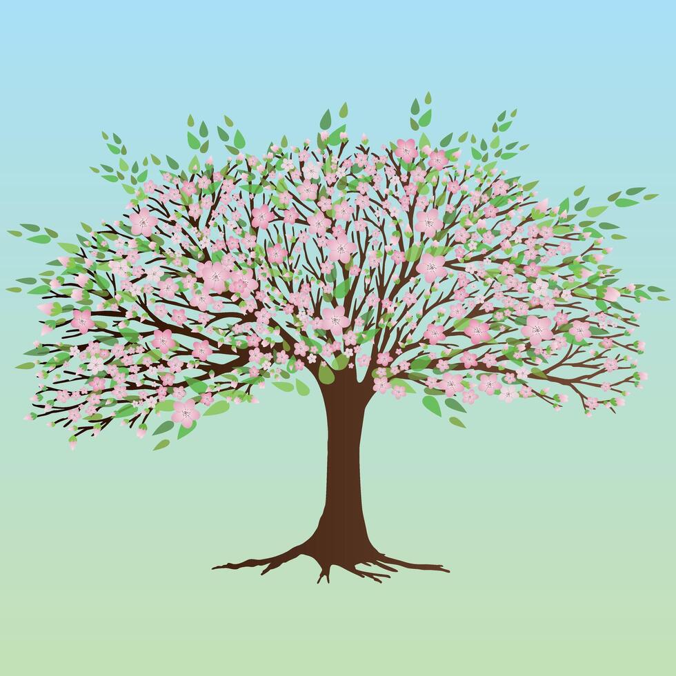 A broad tree with pink blossoms and leafs vector