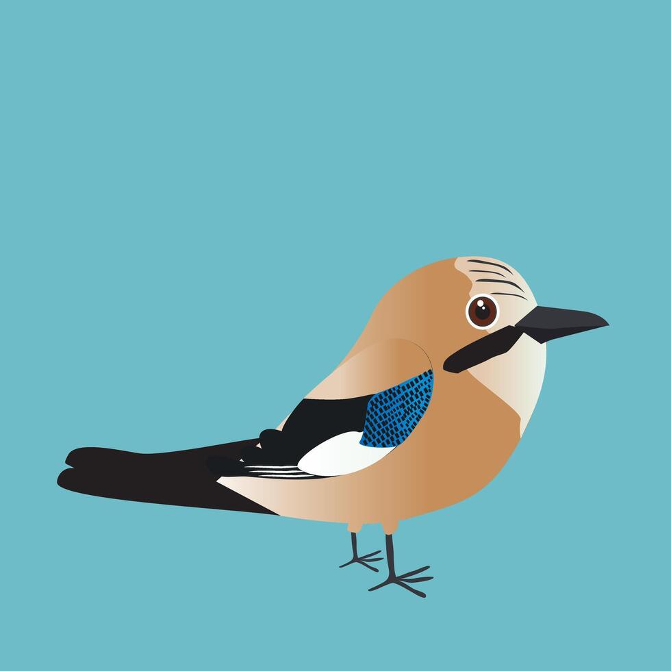 An illustration of a cute Eurasian jay vector