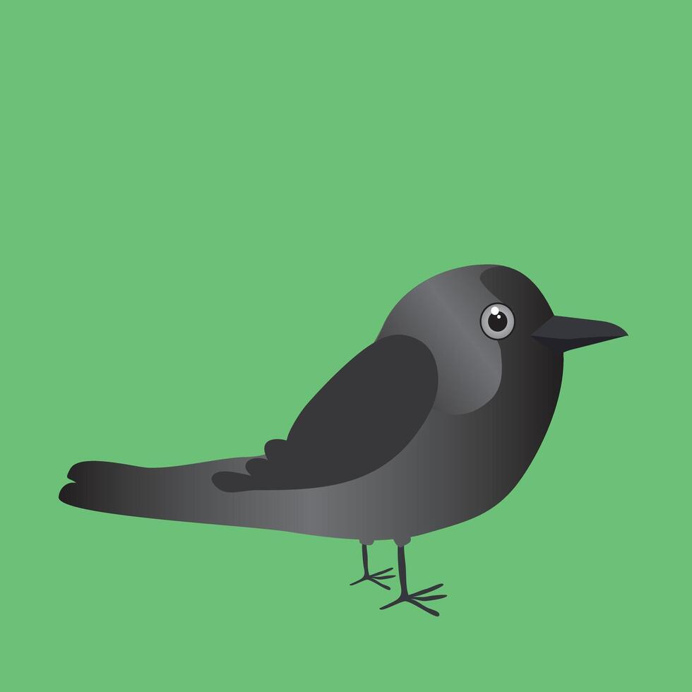 An illustration of a cute western jackdaw vector