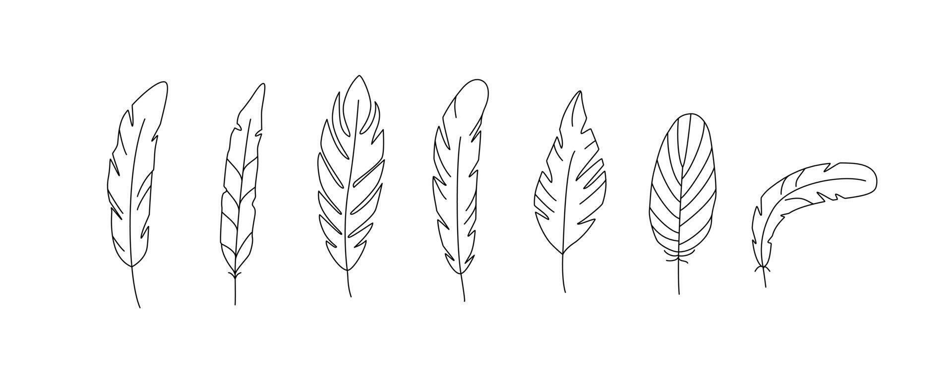 Linear hand drawn feathers set. Plumelet, quill. Line art, sketch, outline drawing. isolated on white. vector