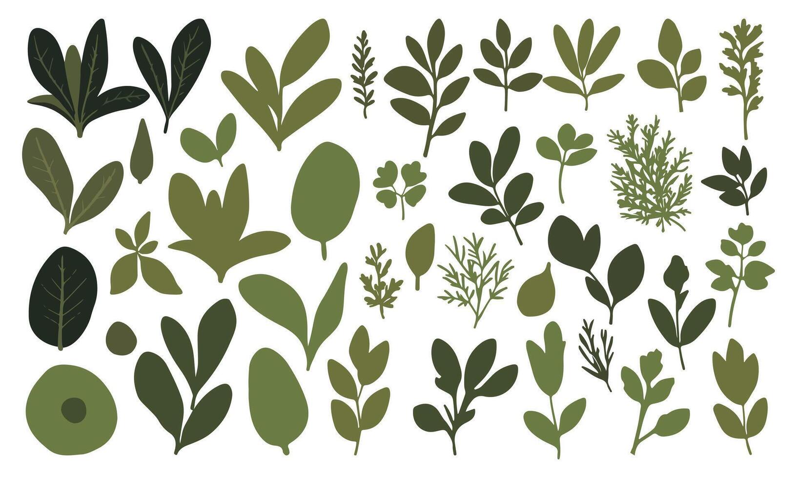 Set of Various Green Plant Leaves Elements vector