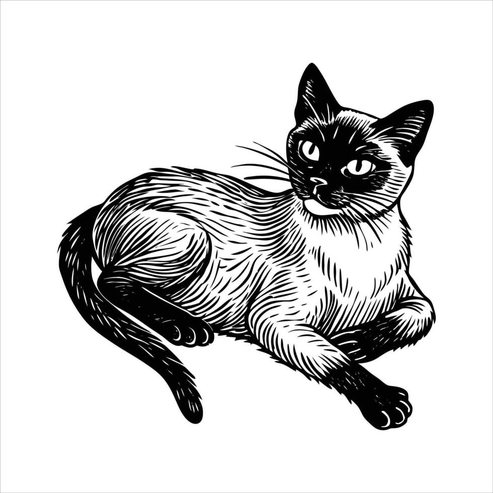 Gray cat with blue eyes lying on the bed close up. vector