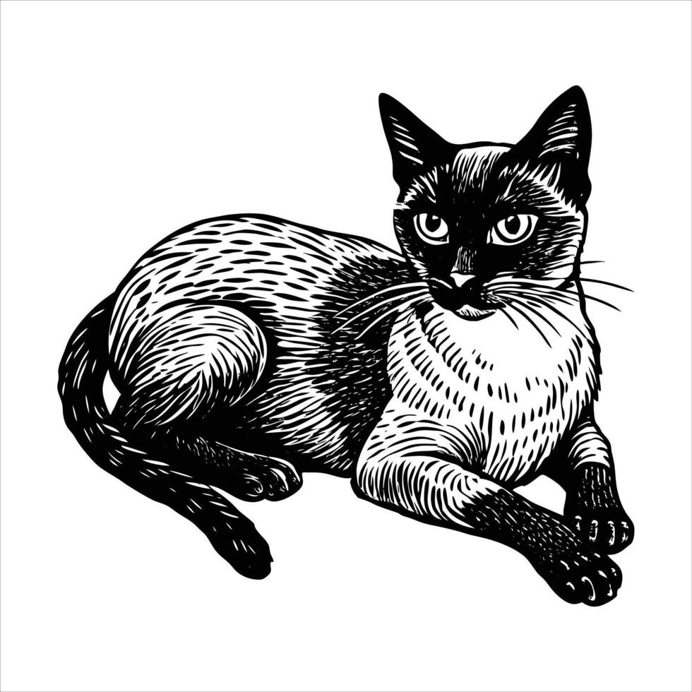 Cute cat laying on couch. vector
