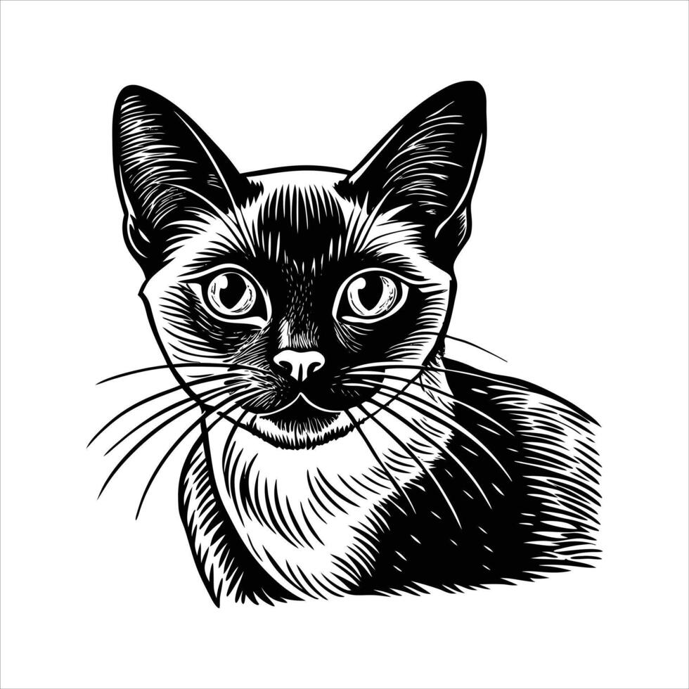 Beautiful cat portrait vector