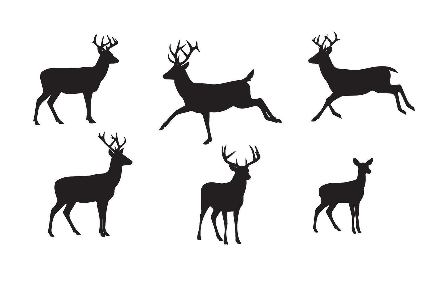Majestic Deer Portraits for Rustic Interiors vector