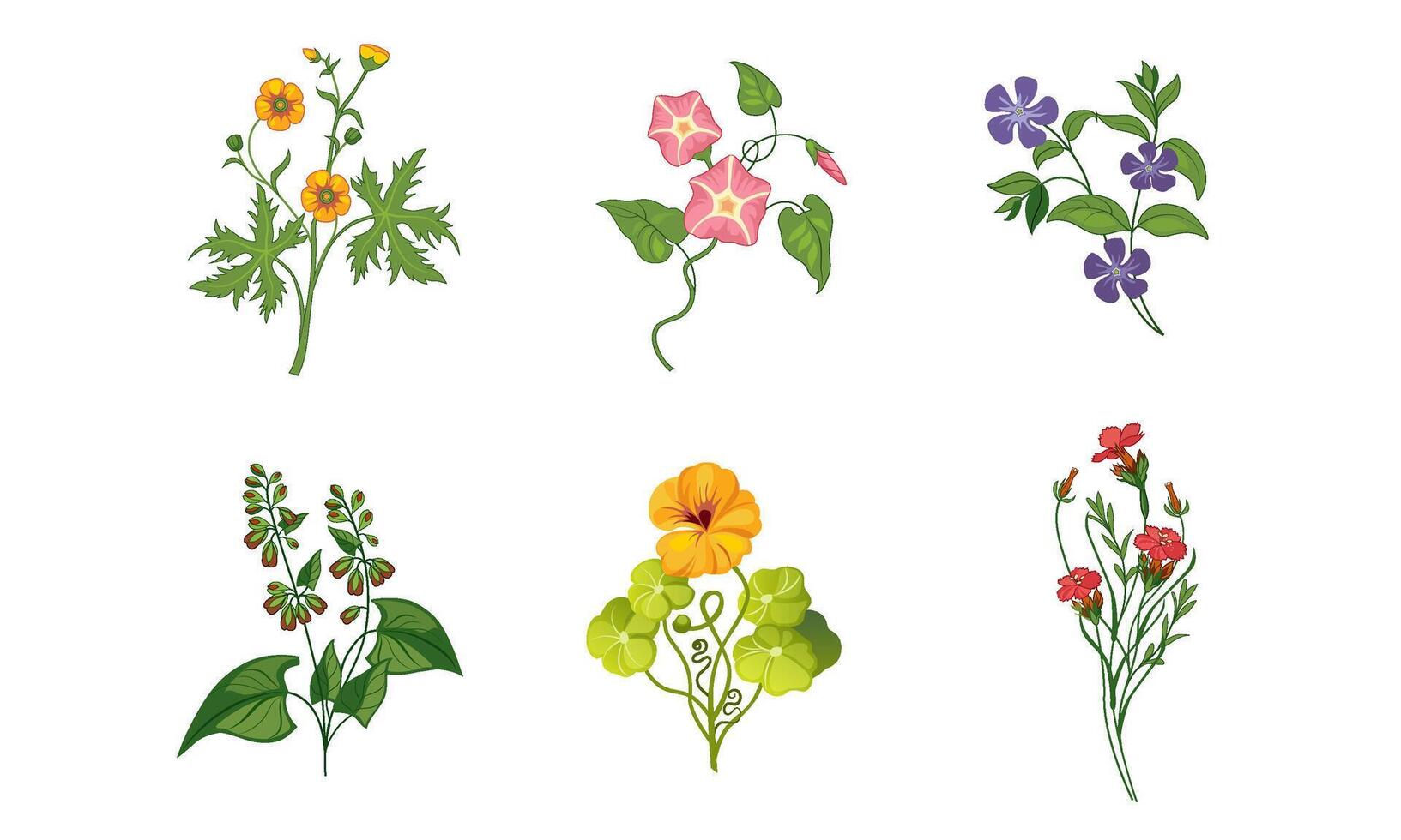 Collection of Blooming Garden Flowers with Leaves, Decorative Natural Floral Elements Illustration vector