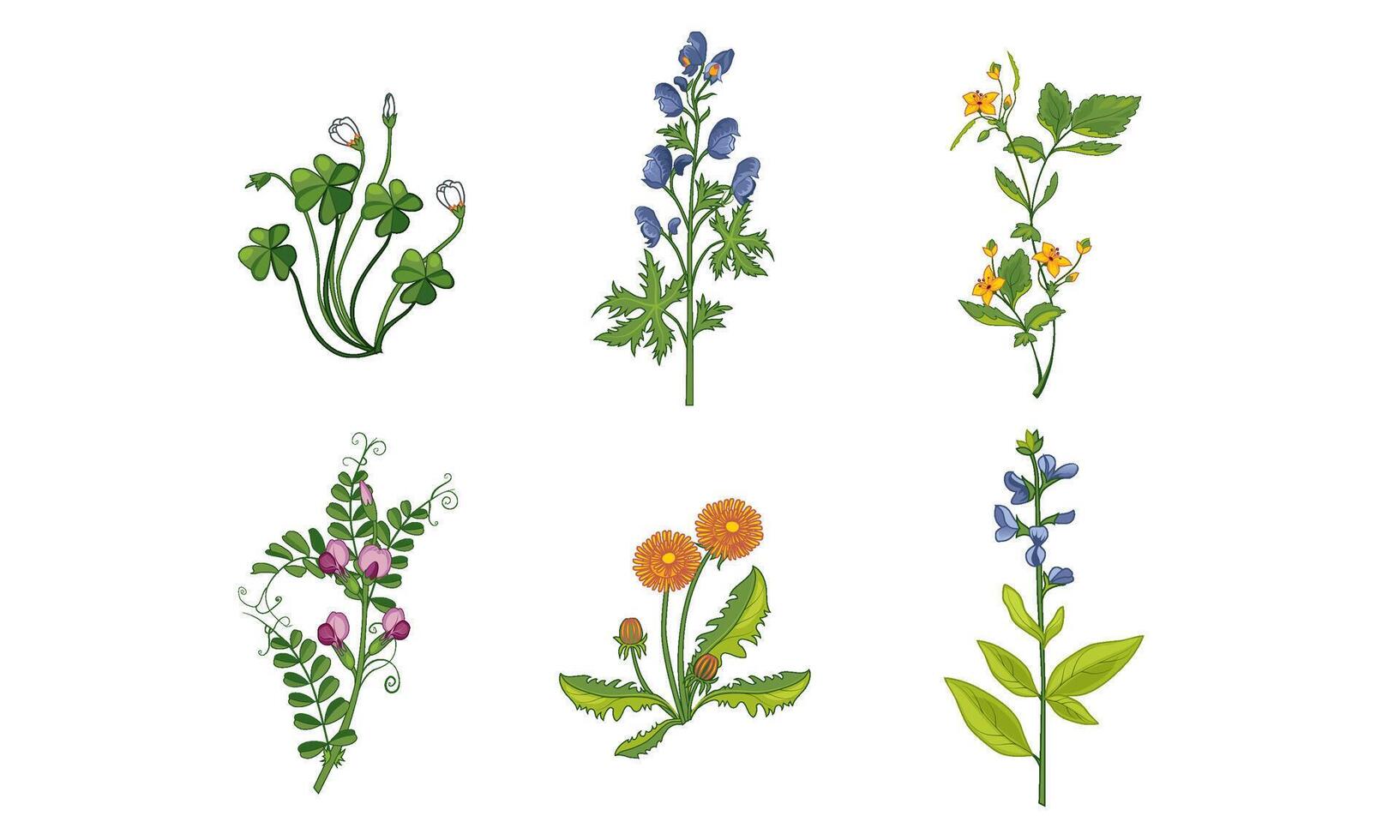 Collection of Beautiful Blooming Garden Flowers with Leaves, Decorative Natural Floral Elements Illustration vector