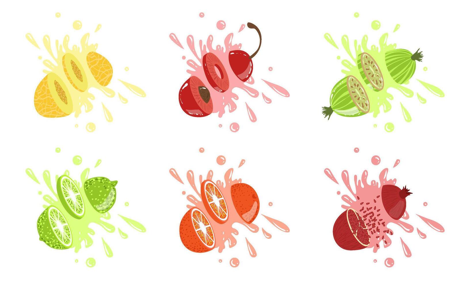 Sweet Fruits and Berries with Splashes Set, Melon, Cherry, Gooseberry, Lime, Orange, Pomegranate Illustration vector