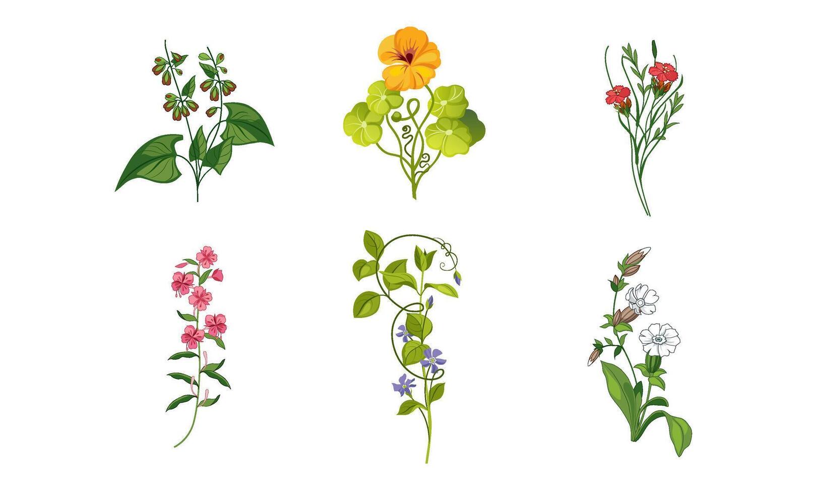 Collection of Blooming Garden Flowers, Decorative Natural Floral Elements Illustration vector