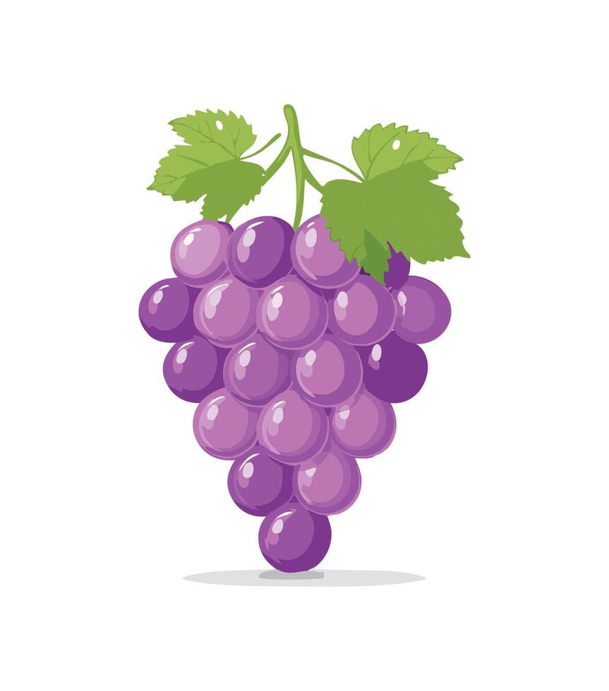 A cute Grapes fruit illustration vector