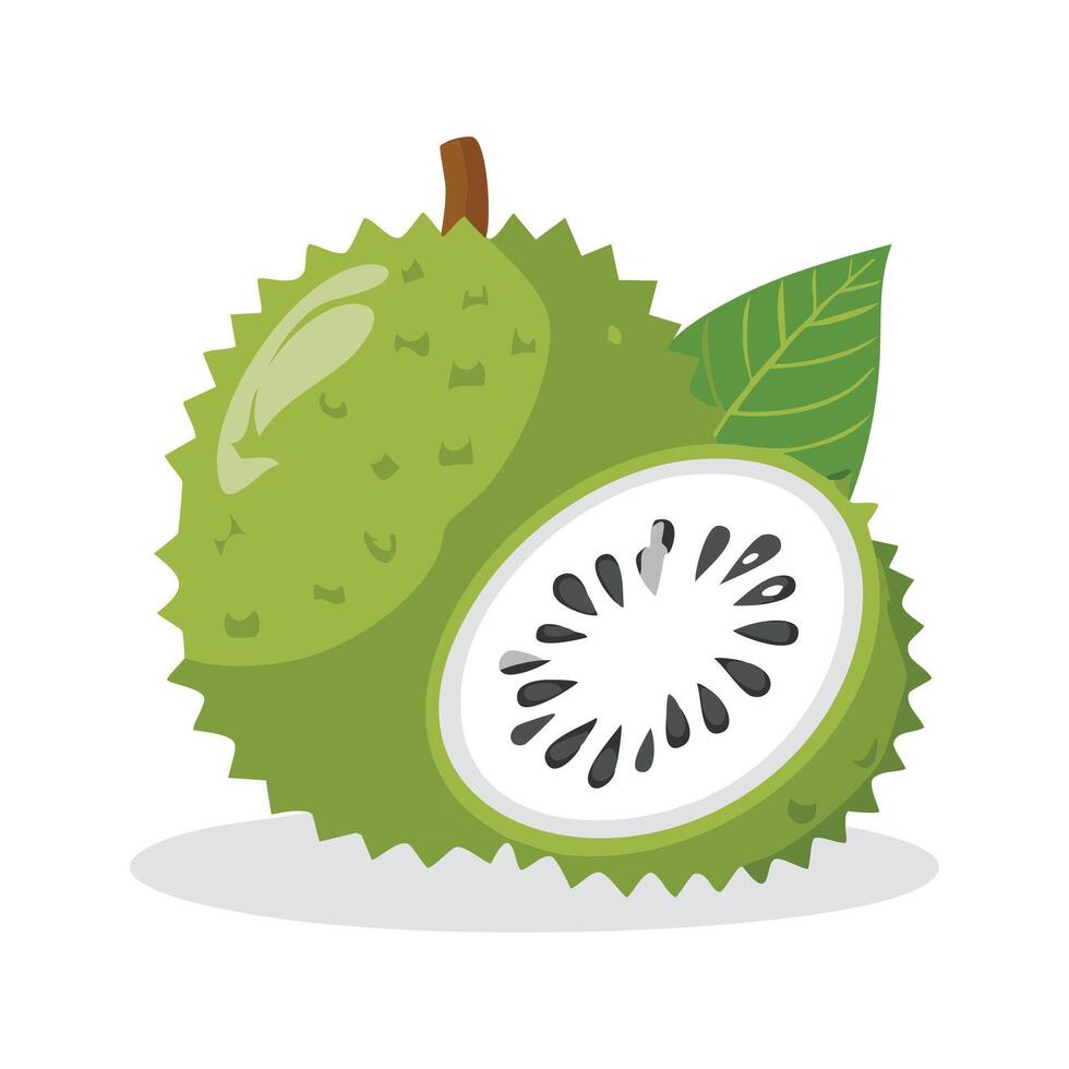 A cute Soursop fruit illustration vector