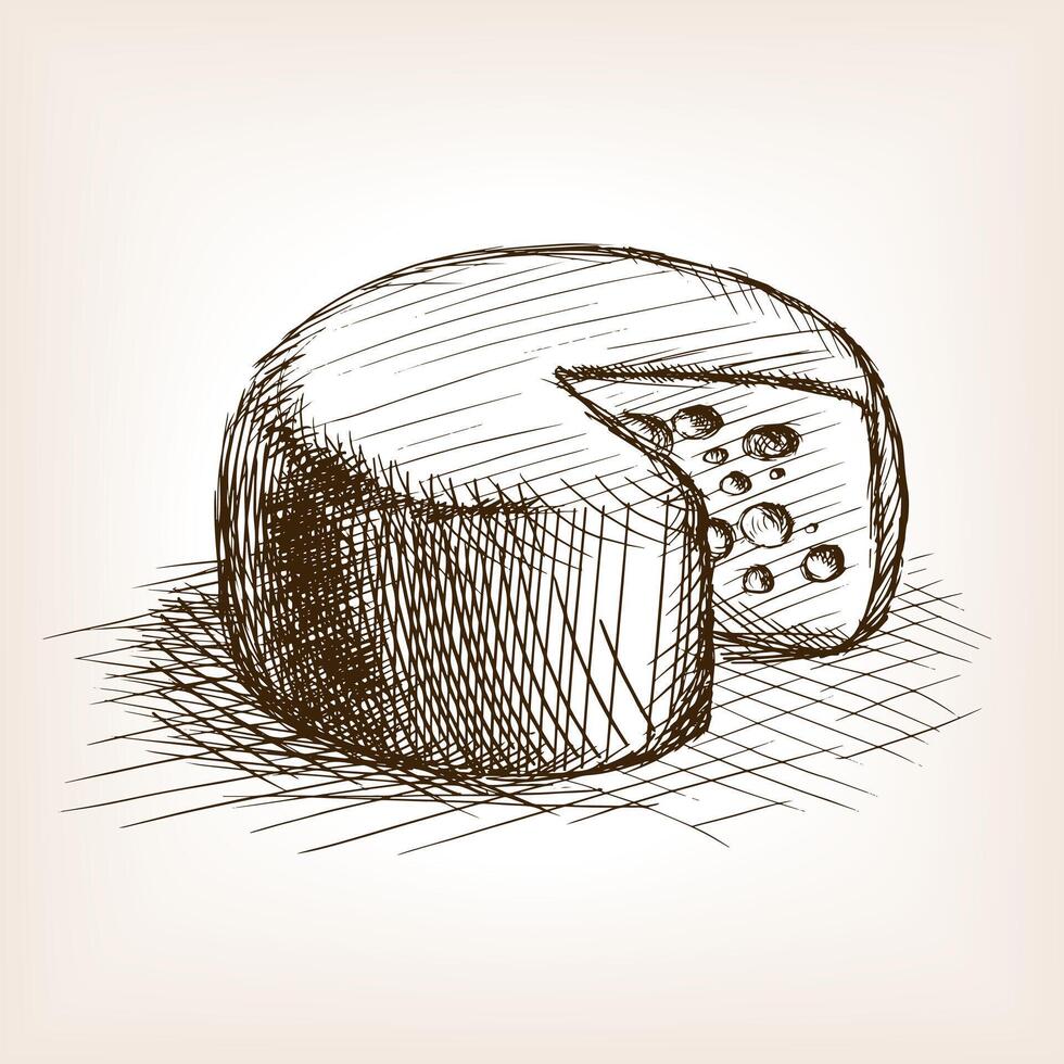 Cheese sketch style illustration. Old engraving imitation. Cheese hand drawn sketch imitation vector