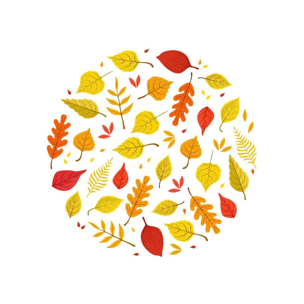 Bright Autumn Leaves of Various Forest Trees Seamless Pattern of Round Shape Illustration vector