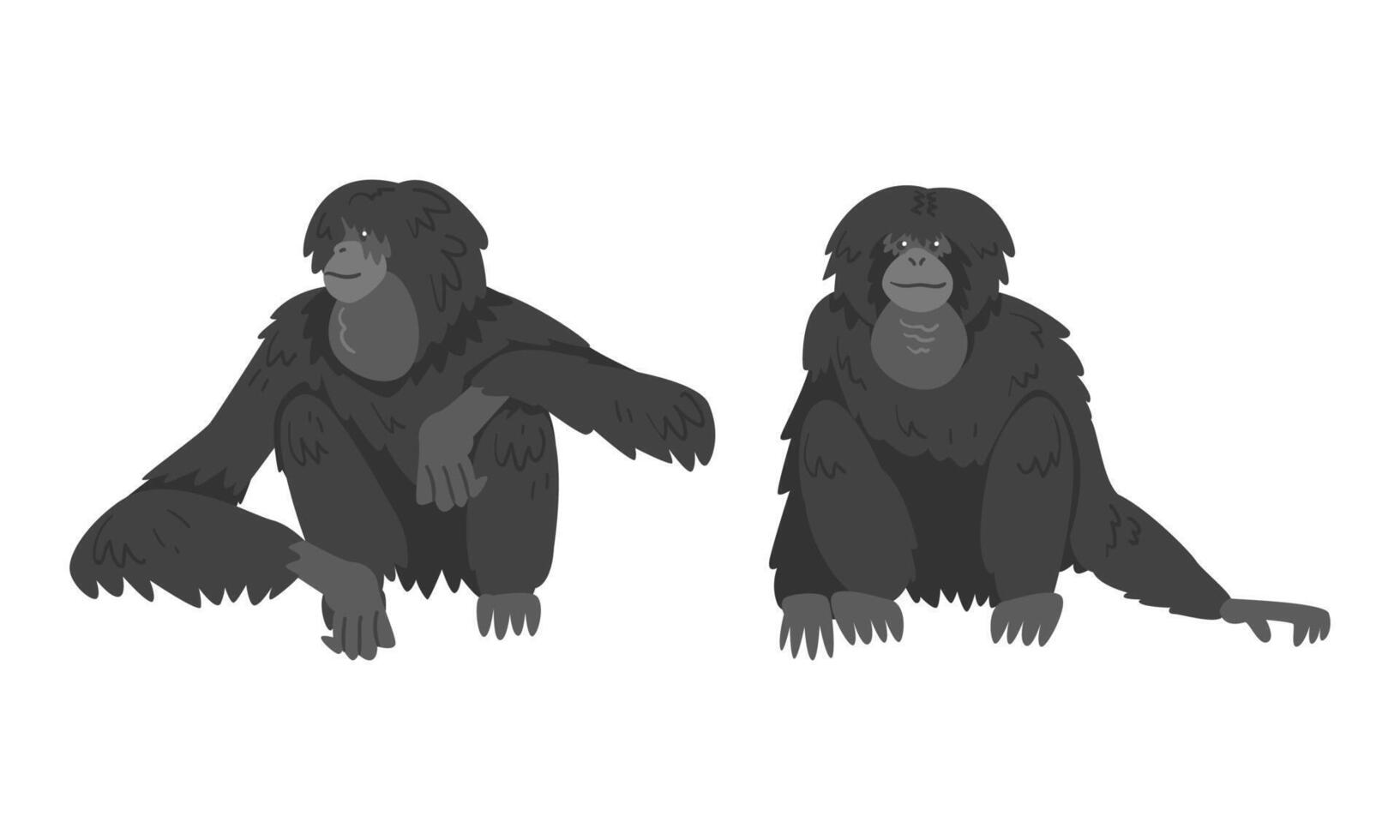 Siamang Monkey as Arboreal, Black-furred Gibbon Set vector