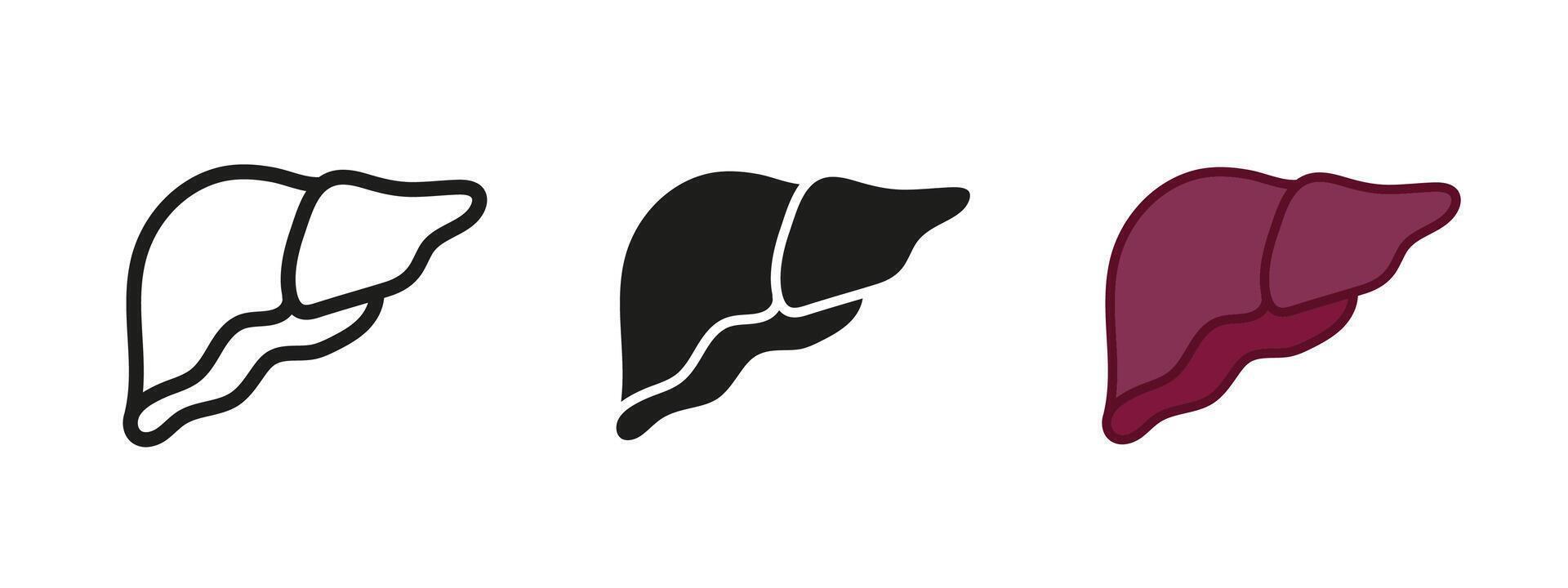 Liver icon. Human internal organ anatomy symbol. Healthy liver illustration. Isolated on white background outline, line, black and colored concept of human liver organ. vector
