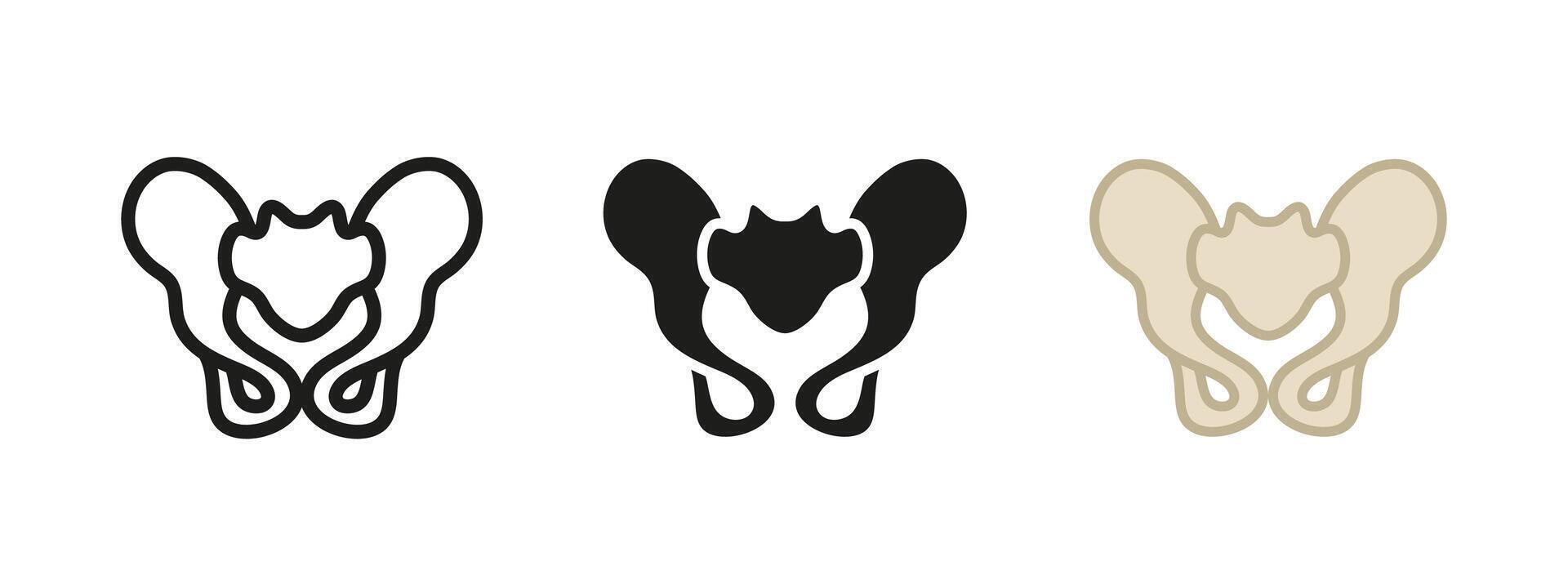 Pelvis bone icon. Human skeleton lower body anatomy symbol. Pelvic hip joint structure illustration. Orthopedic physiology sign. Anatomical pelvis bone structure orthopedics structure concept. vector