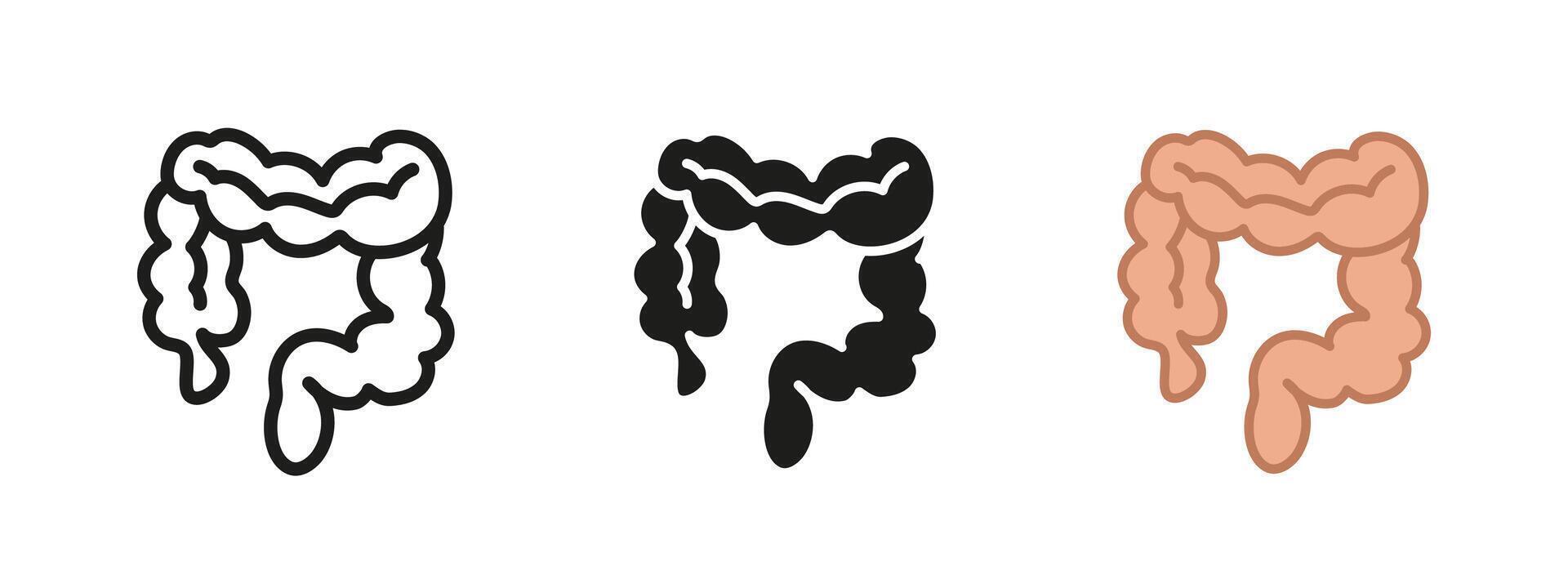 Intestine icon. Bowel symbol. Gut illustration. Colon sign. Human intestinal tract organ anatomy pictogram. Gastric abdominal intestines realistic concept. Stomach digestive tract silhouette. vector