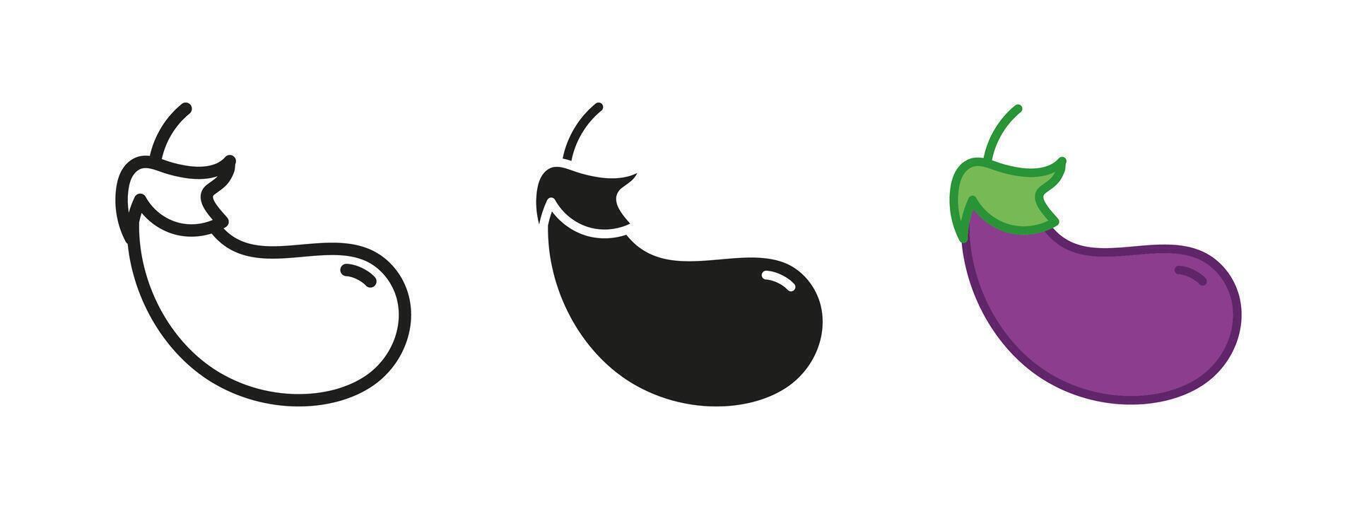 Eggplant icon. Aubergine symbol. Vegetable illustration. Purple eggplant sign. Vegan and vegetarian nourishment pictogram. Healthy food diet concept isolated outline, line, black and colored. vector