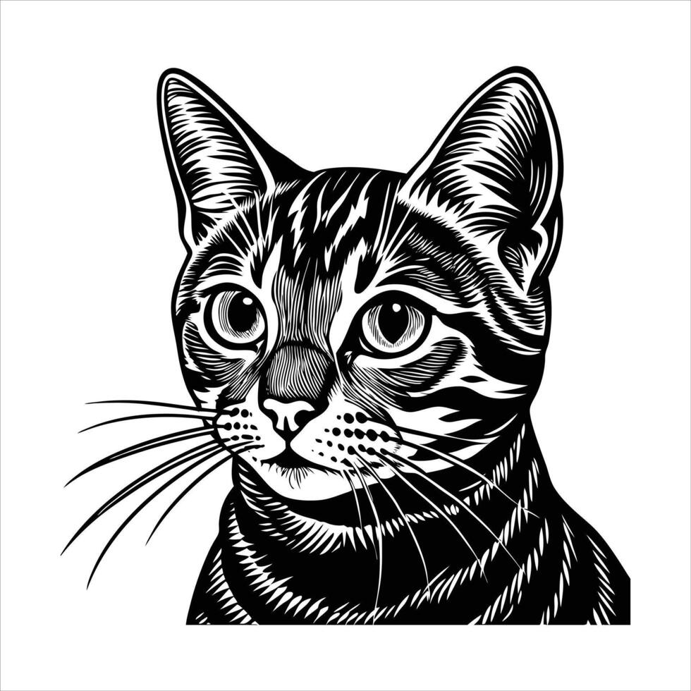 American Shorthair Cat Head vector