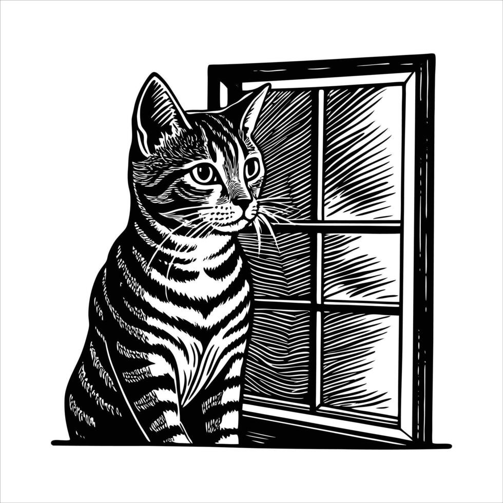 American Shorthair Drawing Vectors. vector