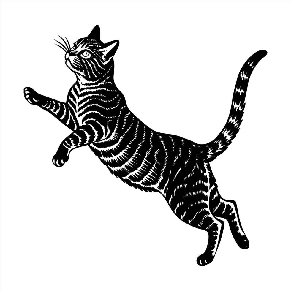 Cat Jumping Images. vector
